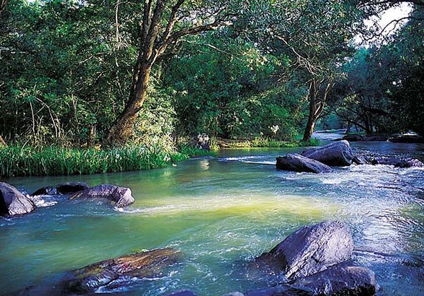 Coorg Wayanad 4  day tour from Vellore